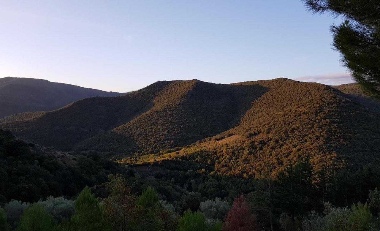 Gites-Terroirs-Occitanie Grenache Felluns Luaran gambar