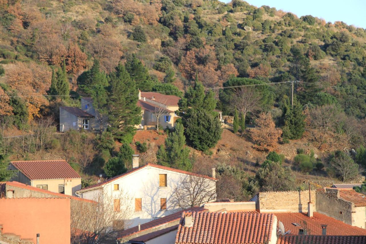 Gites-Terroirs-Occitanie Grenache Felluns Luaran gambar